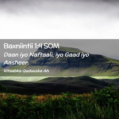 Picture 02 - Baxniintii 1:4 SOM - Daan iyo Naftaali, iyo Gaad iyo - Bible Verse Picture