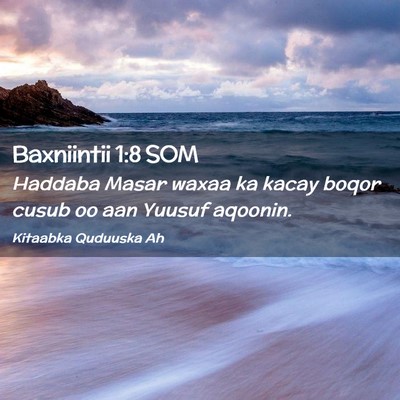 Picture 02 - Baxniintii 1:8 SOM - Haddaba Masar waxaa ka kacay boqor cusub oo aan - Bible Verse Picture