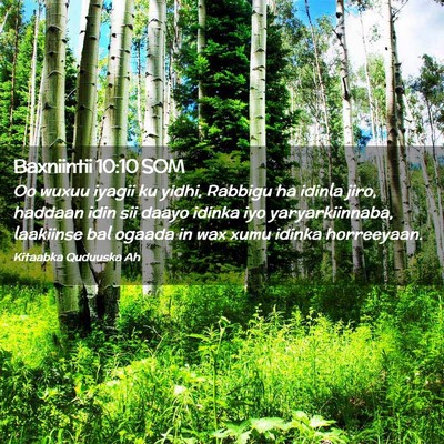 Picture 02 - Baxniintii 10:10 SOM - Oo wuxuu iyagii ku yidhi, Rabbigu ha idinla jiro, - Bible Verse Picture