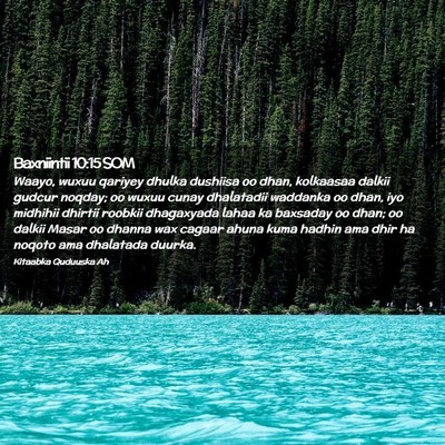 Picture 02 - Baxniintii 10:15 SOM - Waayo, wuxuu qariyey dhulka dushiisa oo dhan, - Bible Verse Picture