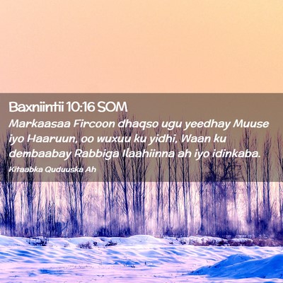 Picture 02 - Baxniintii 10:16 SOM - Markaasaa Fircoon dhaqso ugu yeedhay Muuse iyo - Bible Verse Picture