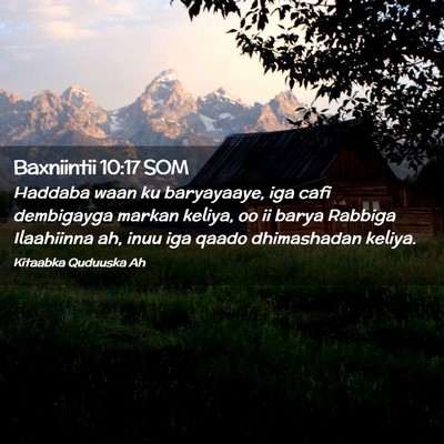 Picture 02 - Baxniintii 10:17 SOM - Haddaba waan ku baryayaaye, iga cafi dembigayga - Bible Verse Picture
