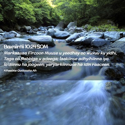 Picture 02 - Baxniintii 10:24 SOM - Markaasaa Fircoon Muuse u yeedhay oo wuxuu ku - Bible Verse Picture