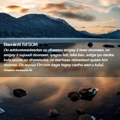 Picture 02 - Baxniintii 11:8 SOM - Oo addoommadaadan oo dhammu anigay ii iman - Bible Verse Picture