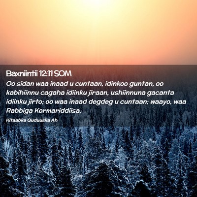 Picture 02 - Baxniintii 12:11 SOM - Oo sidan waa inaad u cuntaan, idinkoo guntan, oo - Bible Verse Picture