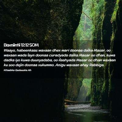 Picture 02 - Baxniintii 12:12 SOM - Waayo, habeenkaas waxaan dhex mari doonaa dalka - Bible Verse Picture
