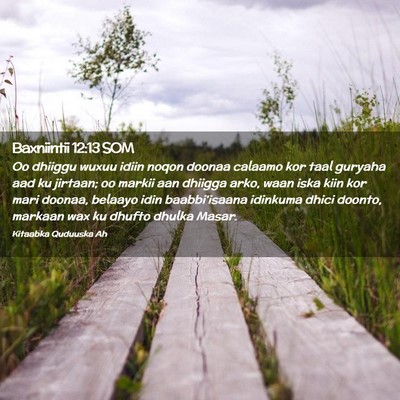 Picture 02 - Baxniintii 12:13 SOM - Oo dhiiggu wuxuu idiin noqon doonaa calaamo kor - Bible Verse Picture