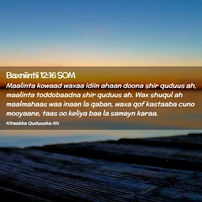 Picture 02 - Baxniintii 12:16 SOM - Maalinta kowaad waxaa idiin ahaan doona shir - Bible Verse Picture