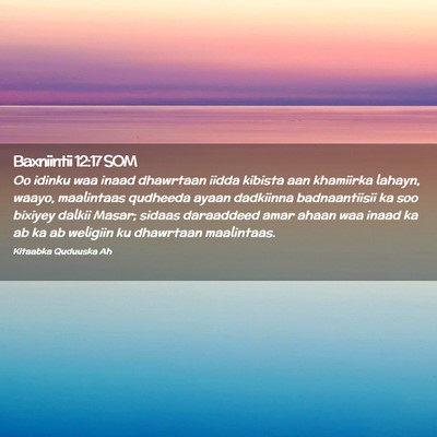 Picture 02 - Baxniintii 12:17 SOM - Oo idinku waa inaad dhawrtaan iidda kibista aan - Bible Verse Picture