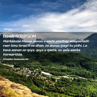 Picture 02 - Baxniintii 12:21 SOM - Markaasaa Muuse wuxuu u wada yeedhay waayeelladii - Bible Verse Picture