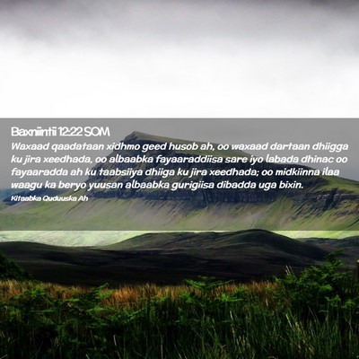 Picture 02 - Baxniintii 12:22 SOM - Waxaad qaadataan xidhmo geed husob ah, oo waxaad - Bible Verse Picture