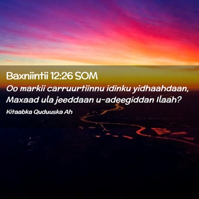 Picture 02 - Baxniintii 12:26 SOM - Oo markii carruurtiinnu idinku yidhaahdaan, - Bible Verse Picture