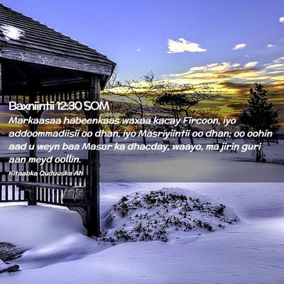 Picture 02 - Baxniintii 12:30 SOM - Markaasaa habeenkaas waxaa kacay Fircoon, iyo - Bible Verse Picture