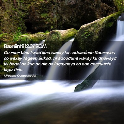 Picture 02 - Baxniintii 12:37 SOM - Oo reer binu Israa'iilna waxay ka sodcaaleen - Bible Verse Picture