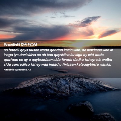 Picture 02 - Baxniintii 12:4 SOM - oo haddii qoys uusan wada qaadan karin wan, de - Bible Verse Picture