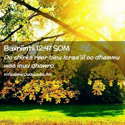 Picture 02 - Baxniintii 12:47 SOM - Oo shirka reer binu Israa'iil oo dhammu waa inuu - Bible Verse Picture