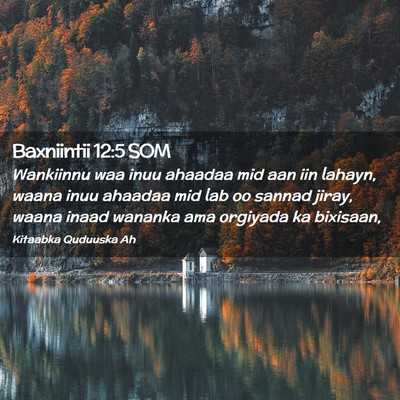 Picture 02 - Baxniintii 12:5 SOM - Wankiinnu waa inuu ahaadaa mid aan iin lahayn, - Bible Verse Picture