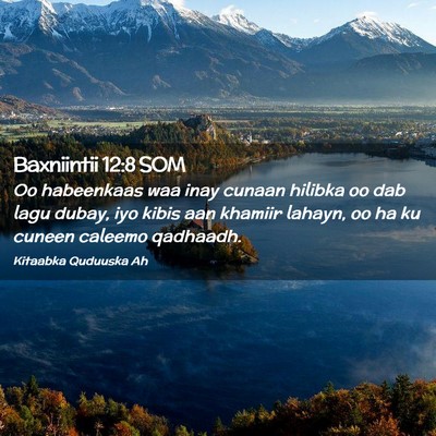 Picture 02 - Baxniintii 12:8 SOM - Oo habeenkaas waa inay cunaan hilibka oo dab lagu - Bible Verse Picture