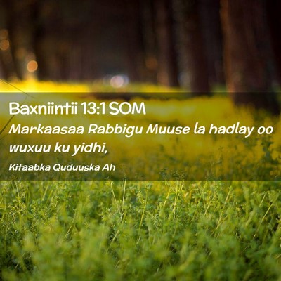 Picture 02 - Baxniintii 13:1 SOM - Markaasaa Rabbigu Muuse la hadlay oo wuxuu ku - Bible Verse Picture