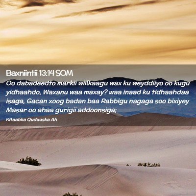 Picture 02 - Baxniintii 13:14 SOM - Oo dabadeedto markii wiilkaagu wax ku weyddiiyo - Bible Verse Picture