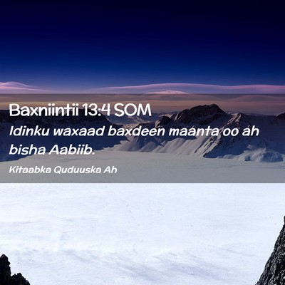 Picture 02 - Baxniintii 13:4 SOM - Idinku waxaad baxdeen maanta oo ah bisha - Bible Verse Picture