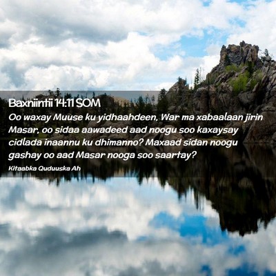Picture 02 - Baxniintii 14:11 SOM - Oo waxay Muuse ku yidhaahdeen, War ma xabaalaan - Bible Verse Picture