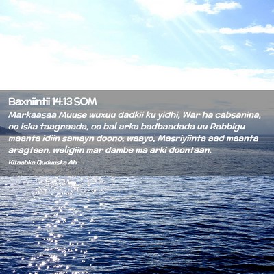 Picture 02 - Baxniintii 14:13 SOM - Markaasaa Muuse wuxuu dadkii ku yidhi, War ha - Bible Verse Picture