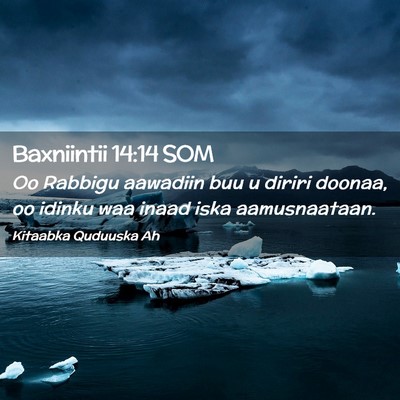 Picture 02 - Baxniintii 14:14 SOM - Oo Rabbigu aawadiin buu u diriri doonaa, oo - Bible Verse Picture