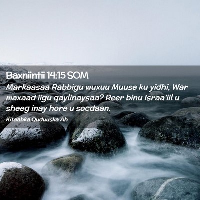 Picture 02 - Baxniintii 14:15 SOM - Markaasaa Rabbigu wuxuu Muuse ku yidhi, War - Bible Verse Picture