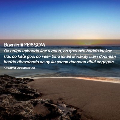 Picture 02 - Baxniintii 14:16 SOM - Oo adigu ushaada kor u qaad, oo gacanta badda ku - Bible Verse Picture