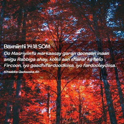 Picture 02 - Baxniintii 14:18 SOM - Oo Masriyiintu markaasay garan doonaan inaan - Bible Verse Picture