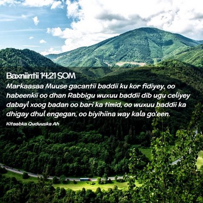 Picture 02 - Baxniintii 14:21 SOM - Markaasaa Muuse gacantii baddii ku kor fidiyey, - Bible Verse Picture