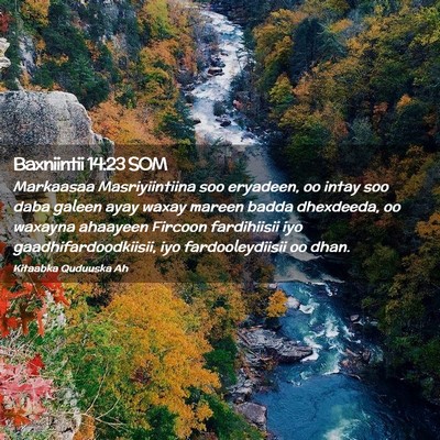Picture 02 - Baxniintii 14:23 SOM - Markaasaa Masriyiintiina soo eryadeen, oo intay - Bible Verse Picture
