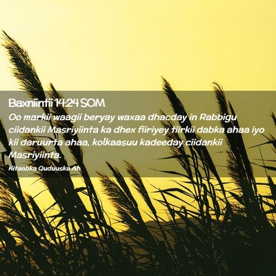 Picture 02 - Baxniintii 14:24 SOM - Oo markii waagii beryay waxaa dhacday in Rabbigu - Bible Verse Picture