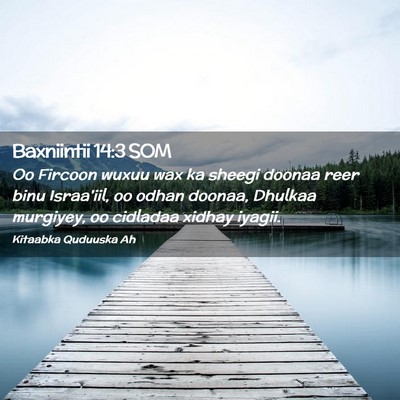 Picture 02 - Baxniintii 14:3 SOM - Oo Fircoon wuxuu wax ka sheegi doonaa reer binu - Bible Verse Picture