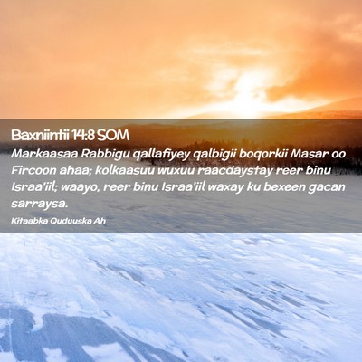 Picture 02 - Baxniintii 14:8 SOM - Markaasaa Rabbigu qallafiyey qalbigii boqorkii - Bible Verse Picture