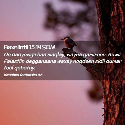 Picture 02 - Baxniintii 15:14 SOM - Oo dadyowgii baa maqlay, wayna gariireen. Kuwii - Bible Verse Picture