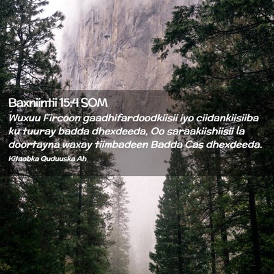 Picture 02 - Baxniintii 15:4 SOM - Wuxuu Fircoon gaadhifardoodkiisii iyo - Bible Verse Picture