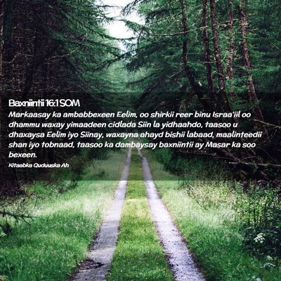 Picture 02 - Baxniintii 16:1 SOM - Markaasay ka ambabbexeen Eelim, oo shirkii reer - Bible Verse Picture