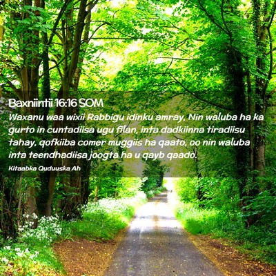 Picture 02 - Baxniintii 16:16 SOM - Waxanu waa wixii Rabbigu idinku amray, Nin waluba - Bible Verse Picture