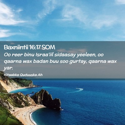 Picture 02 - Baxniintii 16:17 SOM - Oo reer binu Israa'iil sidaasay yeeleen, oo - Bible Verse Picture