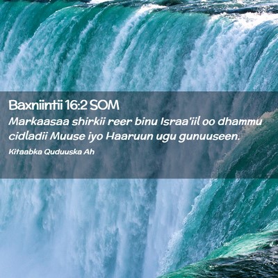 Picture 02 - Baxniintii 16:2 SOM - Markaasaa shirkii reer binu Israa'iil oo dhammu - Bible Verse Picture