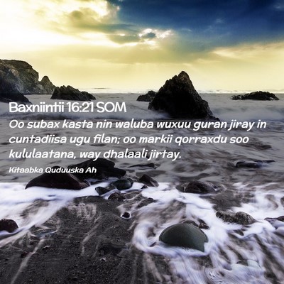 Picture 02 - Baxniintii 16:21 SOM - Oo subax kasta nin waluba wuxuu guran jiray in - Bible Verse Picture