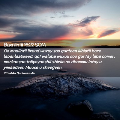 Picture 02 - Baxniintii 16:22 SOM - Oo maalintii lixaad waxay soo gurteen kibistii - Bible Verse Picture