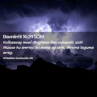 Picture 02 - Baxniintii 16:24 SOM - Kolkaasay meel dhigteen ilaa subaxdii, sidii - Bible Verse Picture