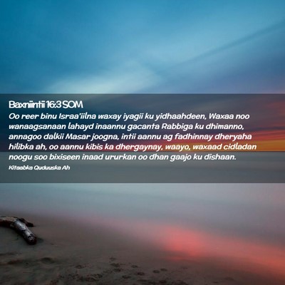 Picture 02 - Baxniintii 16:3 SOM - Oo reer binu Israa'iilna waxay iyagii ku - Bible Verse Picture