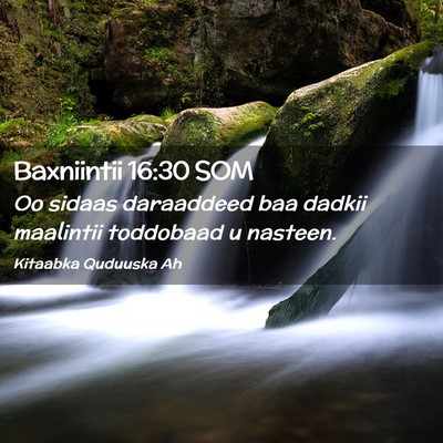 Picture 02 - Baxniintii 16:30 SOM - Oo sidaas daraaddeed baa dadkii maalintii - Bible Verse Picture