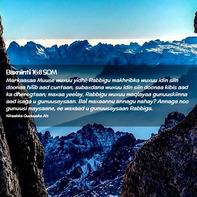 Picture 02 - Baxniintii 16:8 SOM - Markaasaa Muuse wuxuu yidhi; Rabbigu makhribka - Bible Verse Picture