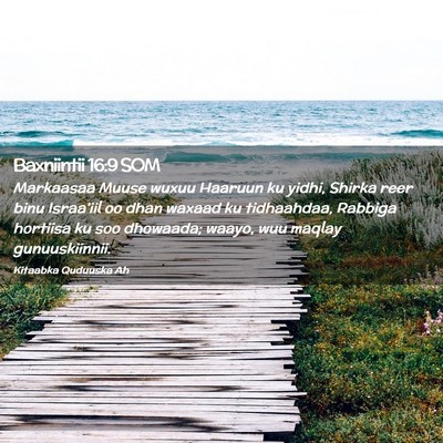 Picture 02 - Baxniintii 16:9 SOM - Markaasaa Muuse wuxuu Haaruun ku yidhi, Shirka - Bible Verse Picture