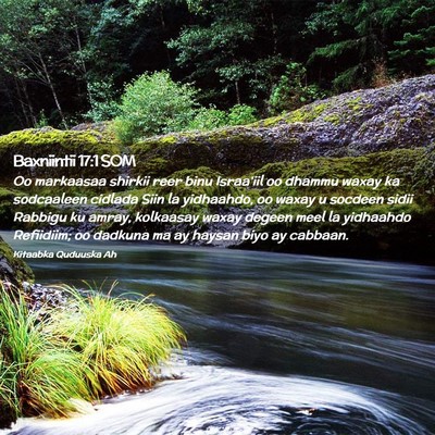 Picture 02 - Baxniintii 17:1 SOM - Oo markaasaa shirkii reer binu Israa'iil oo - Bible Verse Picture